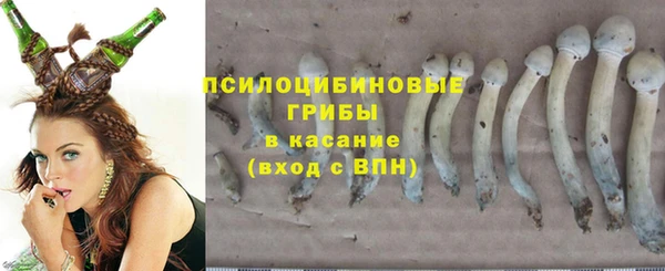 кристаллы Снежногорск