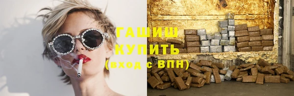 индика Слюдянка