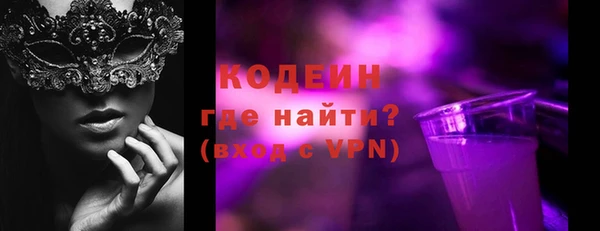 индика Слюдянка