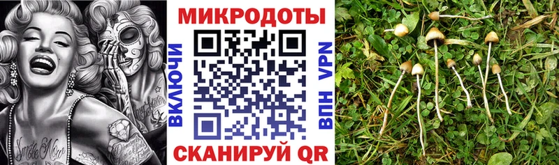 Псилоцибиновые грибы ЛСД  Купить закладки  Андреаполь 